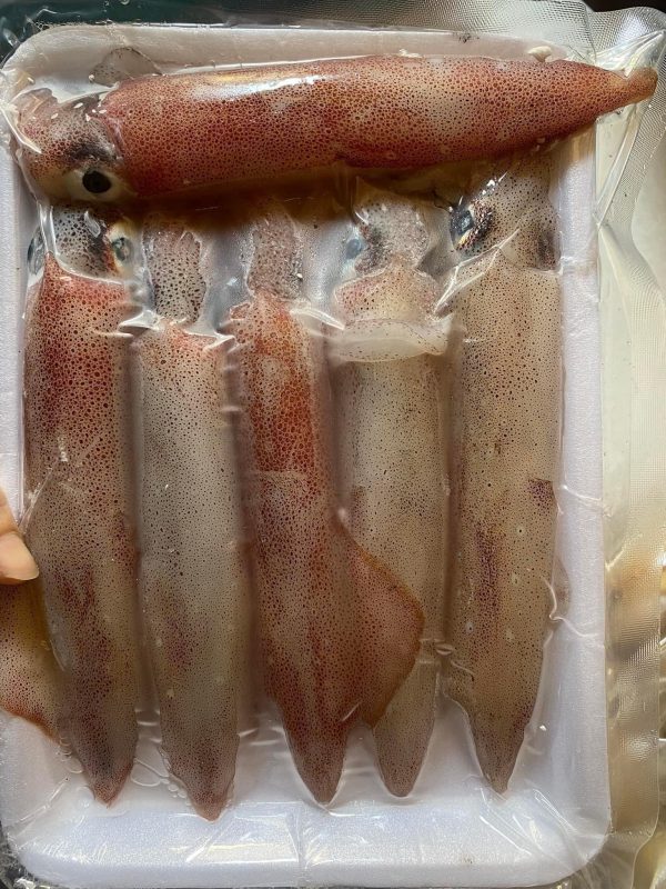 Mực nhập khẩu khác nhau như thế nào so với mực Việt Nam