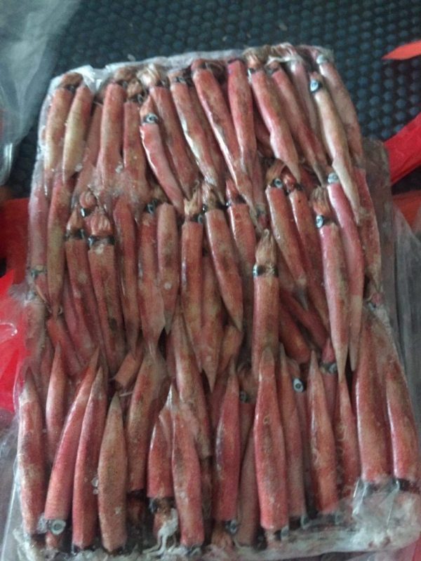 Tổng quan về mực nhập khẩu