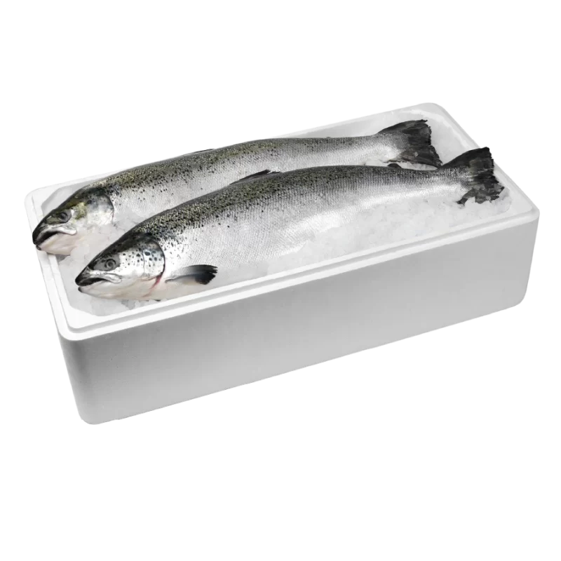 Bộ hồ sơ làm thủ tục nhập khẩu cá các loại